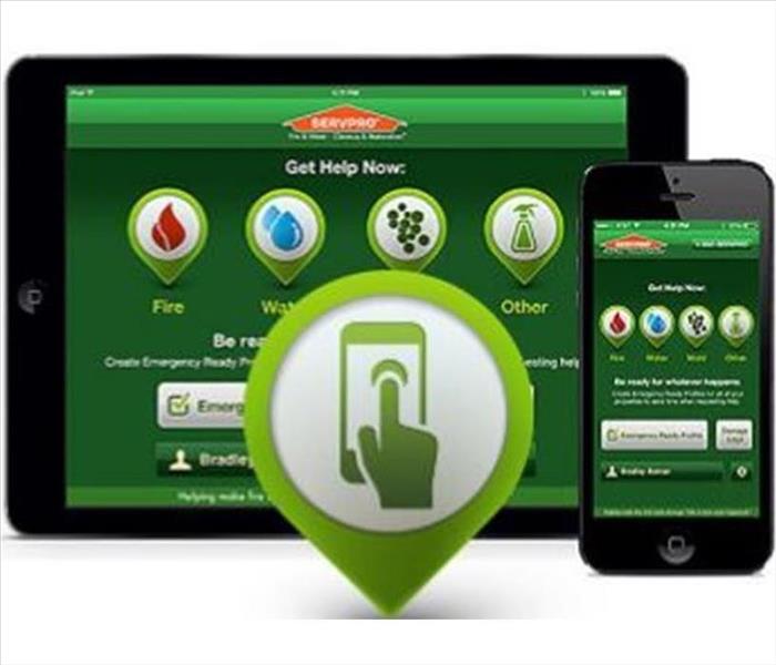 green mobile app screen