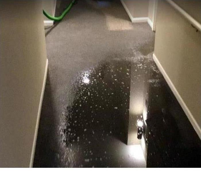 standing water in office hallway; wet carpet