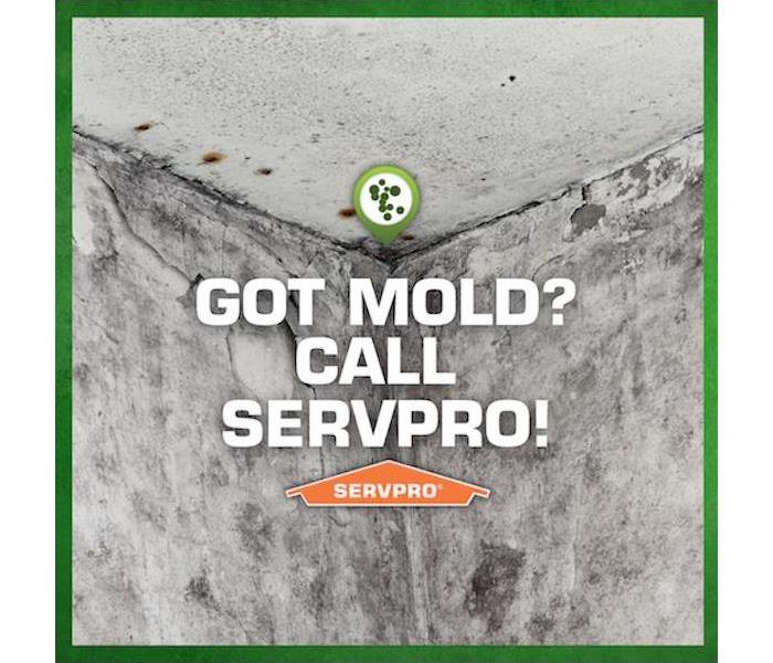 "Got Mold? Call SERVPRO"