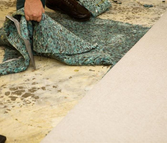 A person pulling up carpet and padding 