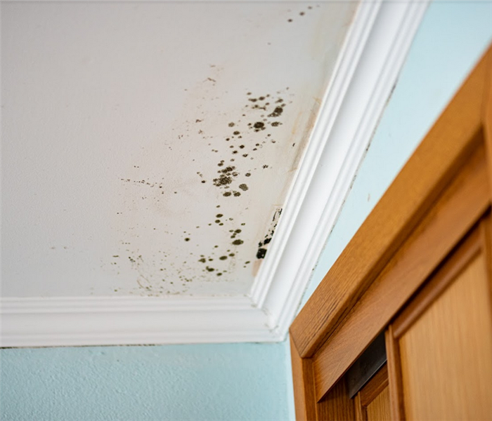 mold growing on the ceiling of a room by the door